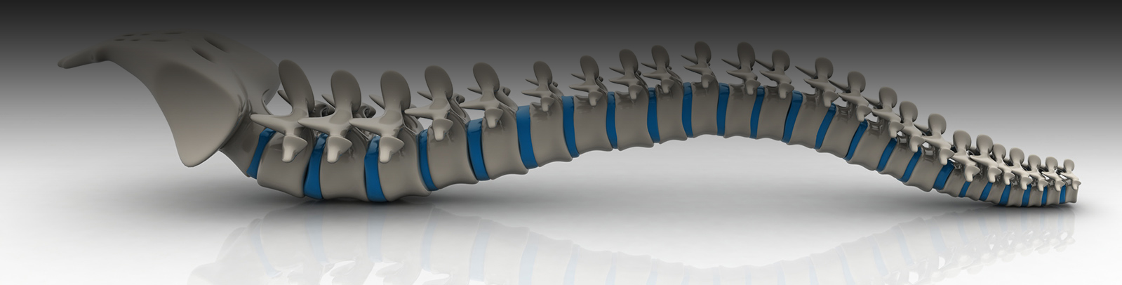Spine-Banner-Photo
